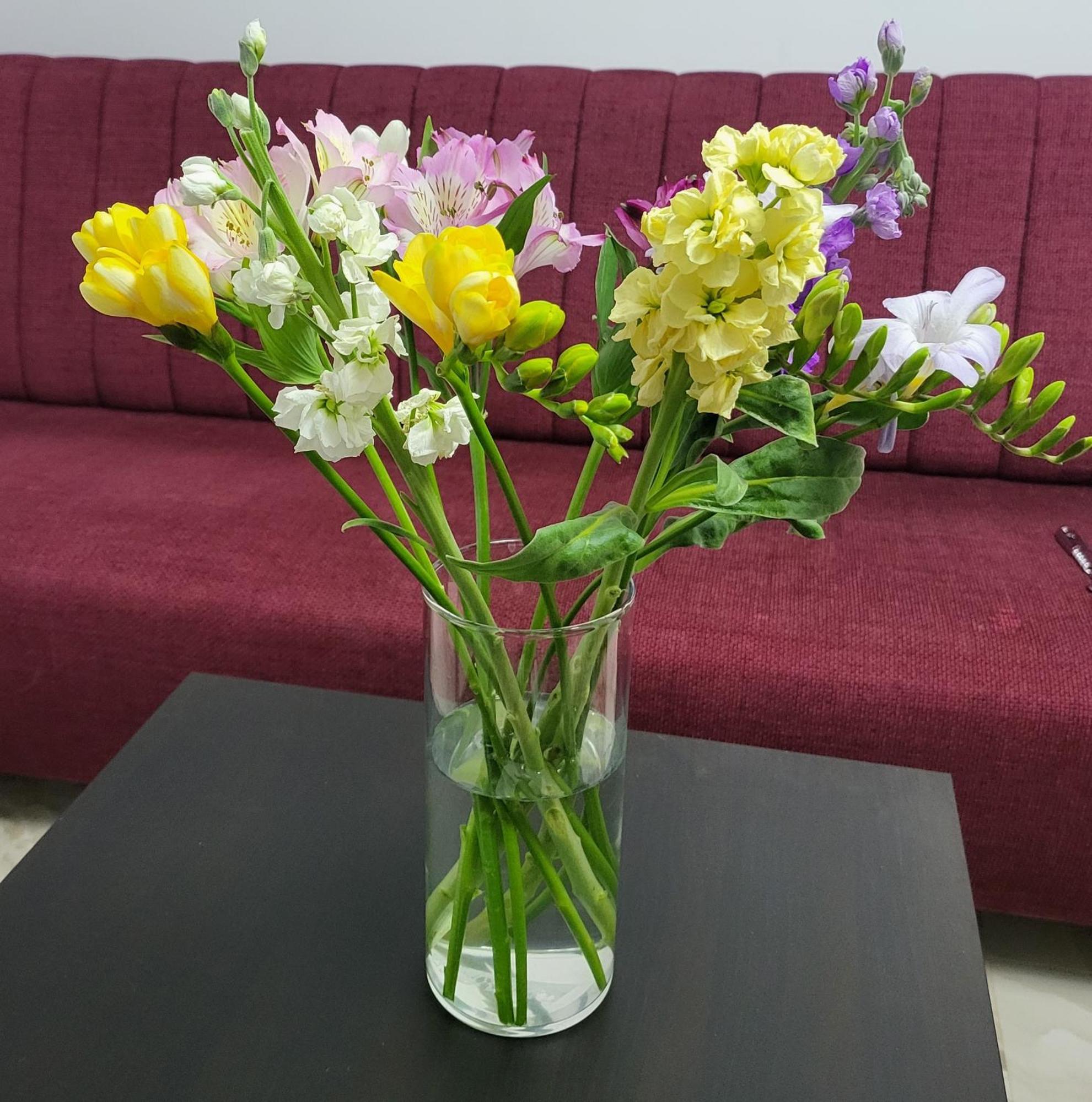 Adac Boutique Hotel Pantelimon 外观 照片